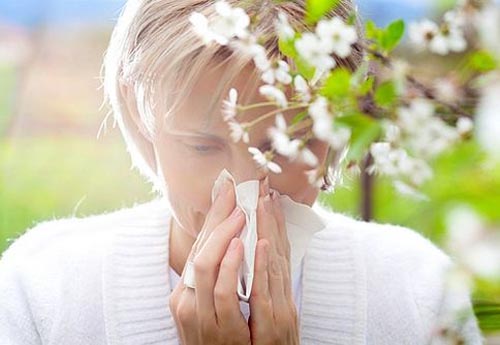 درمان آلرژی بینی و تنفسی با گیاهان دارویی