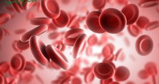 هیپوپروتئین