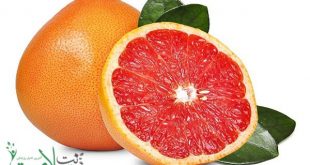 میوه گریپ‌فروت