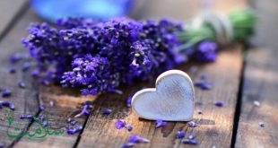 بیماری دیابت